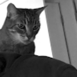 Meet your Posher, Leigh